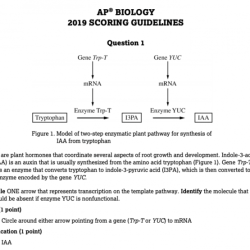 Ap biology unit 3 progress check frq