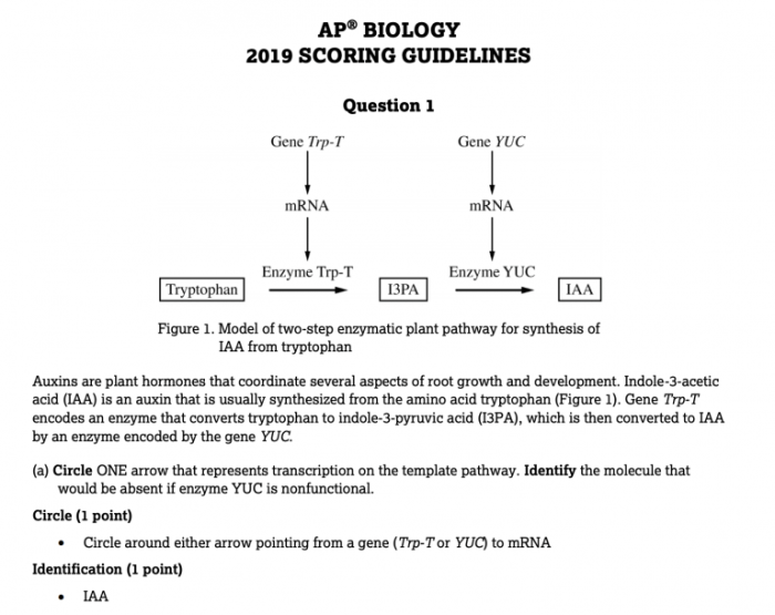 Ap biology unit 3 progress check frq