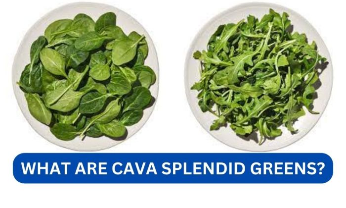 What is splendid greens cava