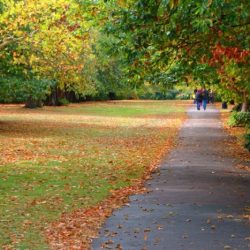 Park walk walking