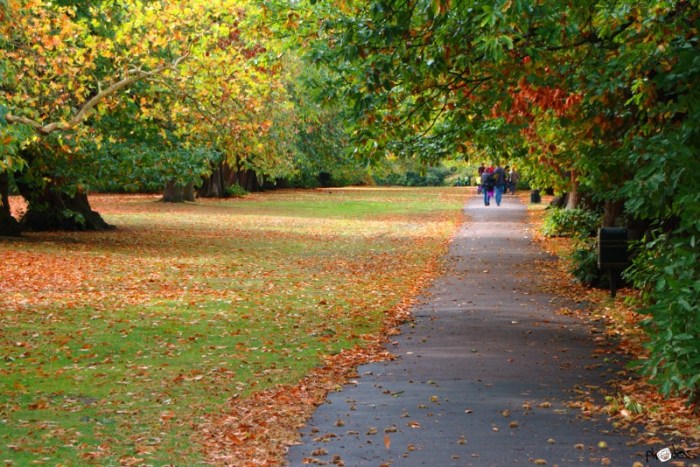 Park walk walking