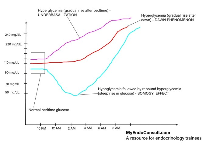 Somogyi dawn effect phenomenon