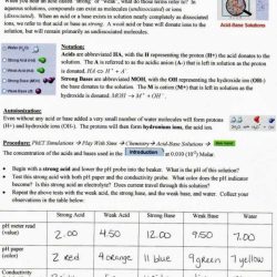 Bean bag isotopes lab answer key