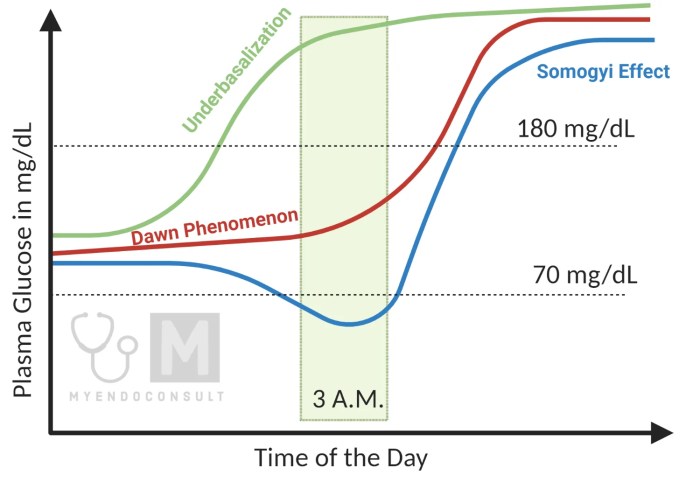 Sugar effect dawn somogyi phenomenon vs diabetes morning blood high why