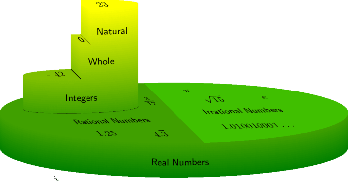 What type of number is -1/2