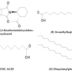 Pictured below are three different fatty acid chemical structures